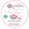 1 Mini Scoop